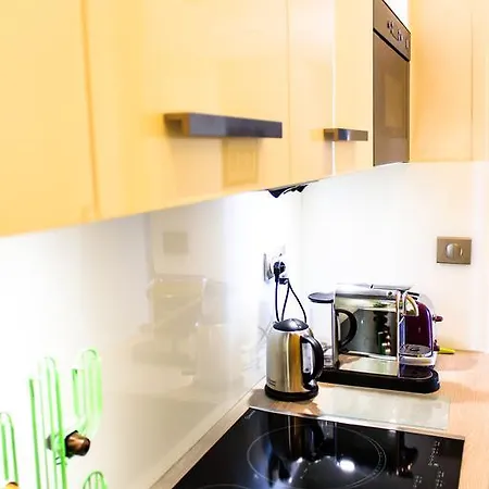 Apartment Duplex Hermitage Nice